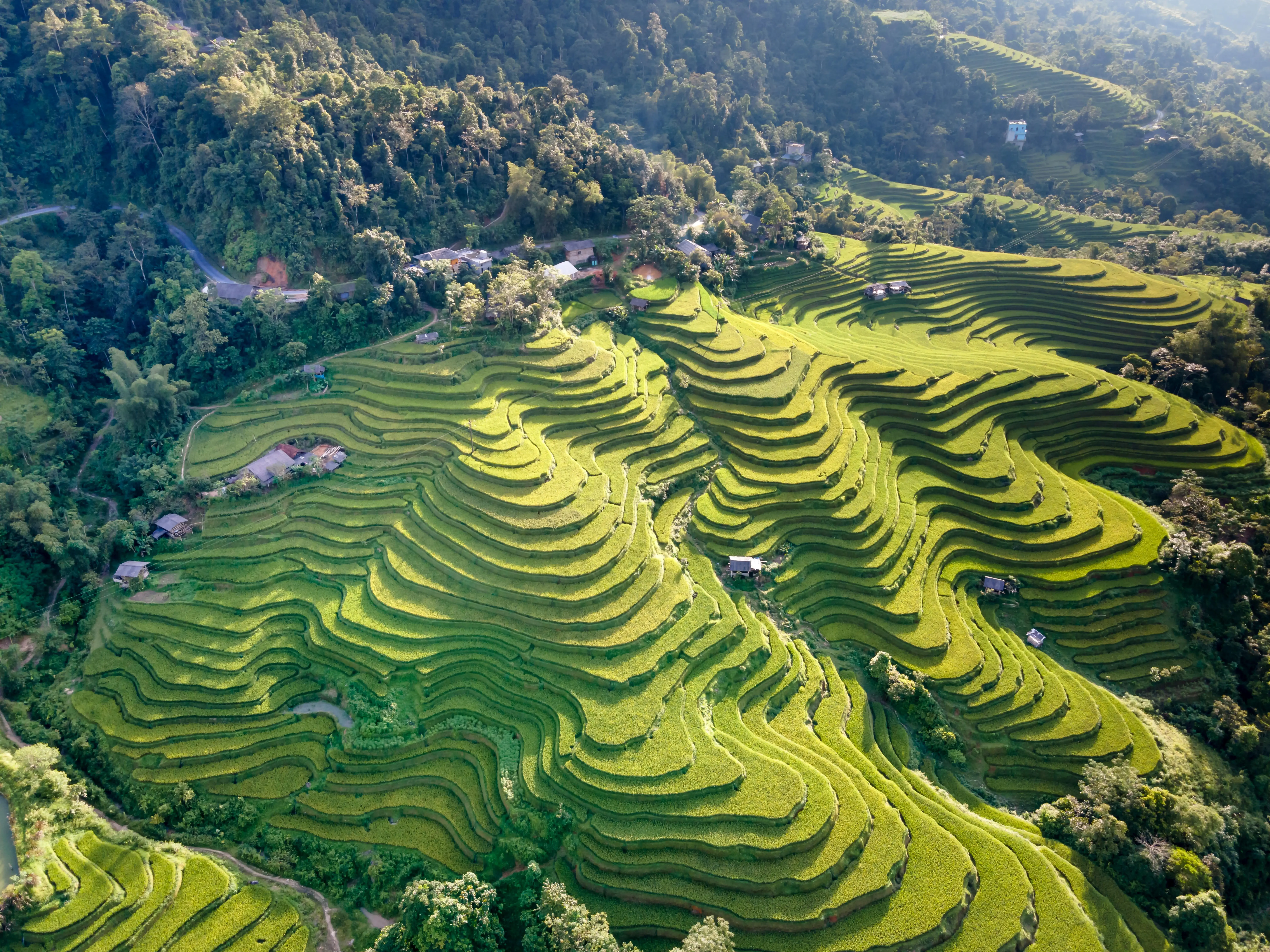 Vietnam Unveiled: Sapa Heights to Southern Shores Gallery Image