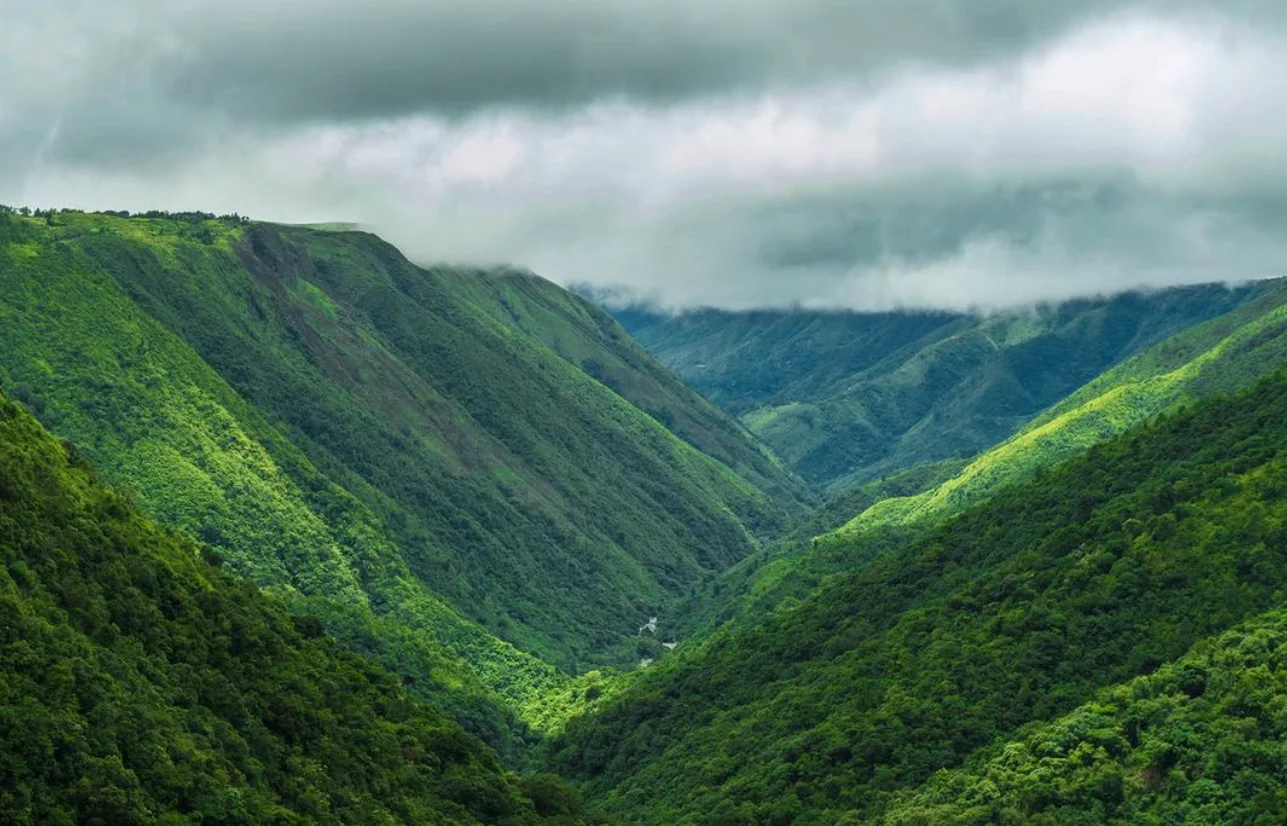 Assam Meghalaya Tour Gallery Image