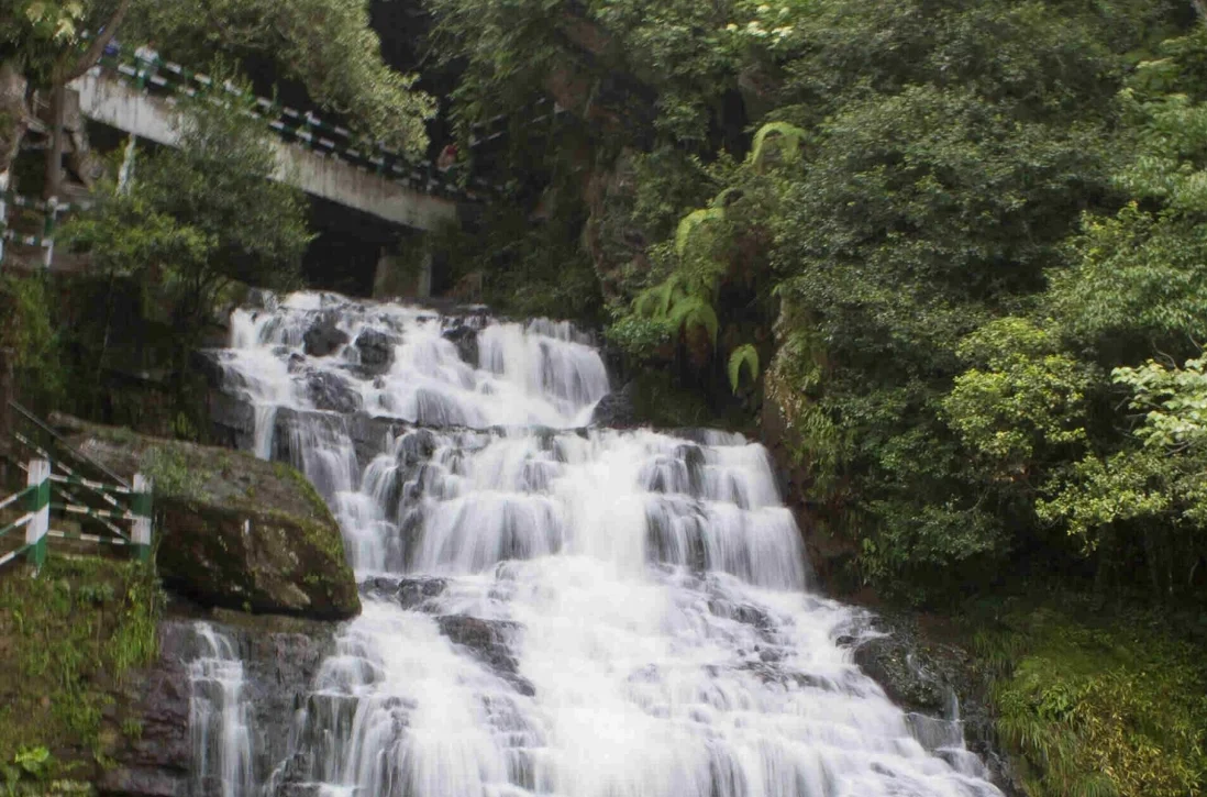 Assam Meghalaya Tour Gallery Image