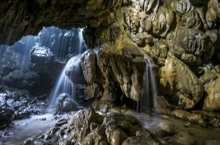 Assam Meghalaya Tour Gallery Image