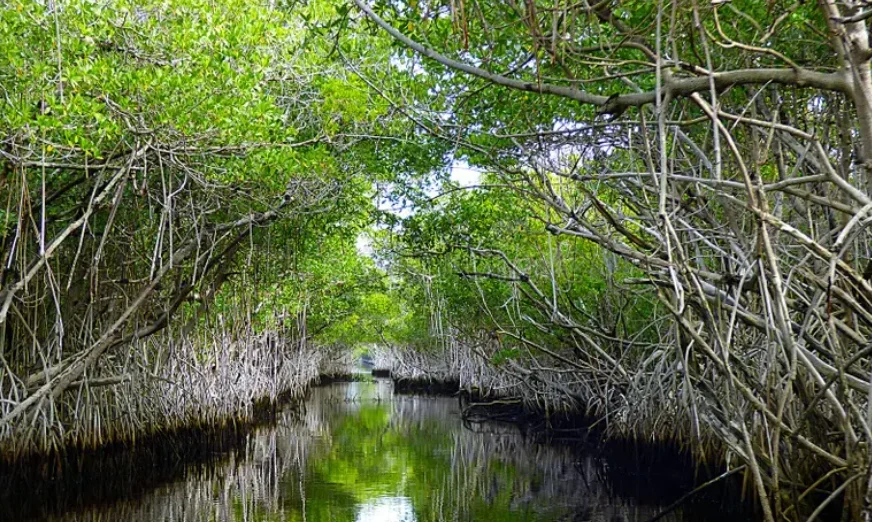 Exotic Sri Lanka: From Royal Cities to Tropical Shores Gallery Image