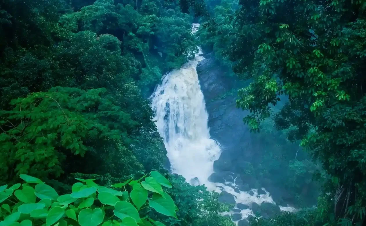 Kerala: God’s Own Country Gallery Image