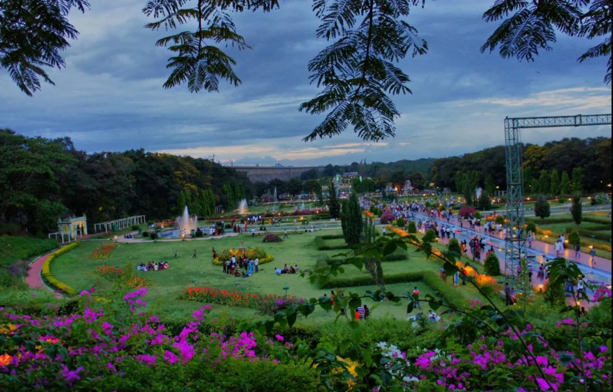 Mist & Majesty: The Coorg-Mysore-Ooty Trail Gallery Image