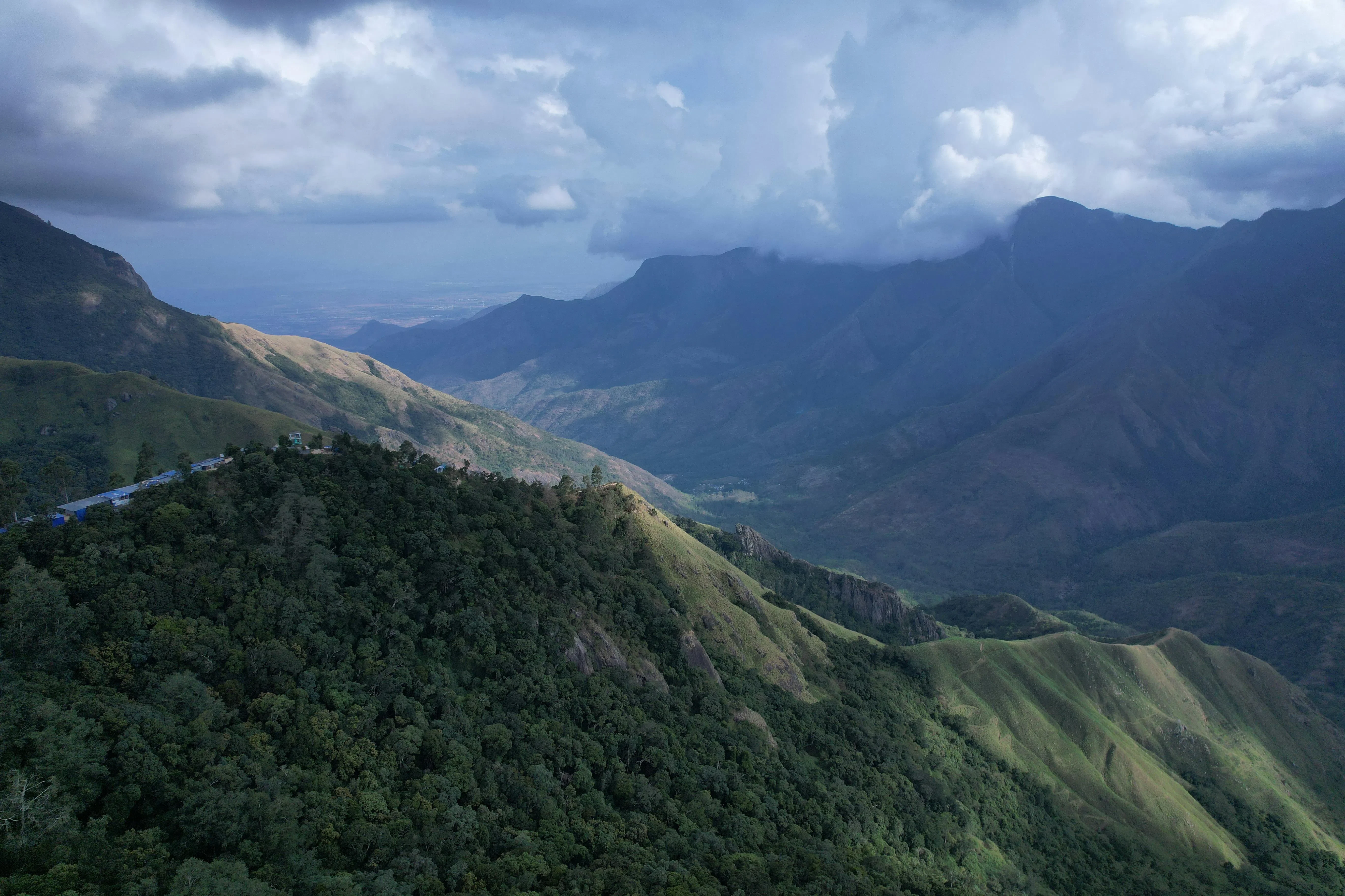 Mist & Majesty: The Coorg-Mysore-Ooty Trail Gallery Image